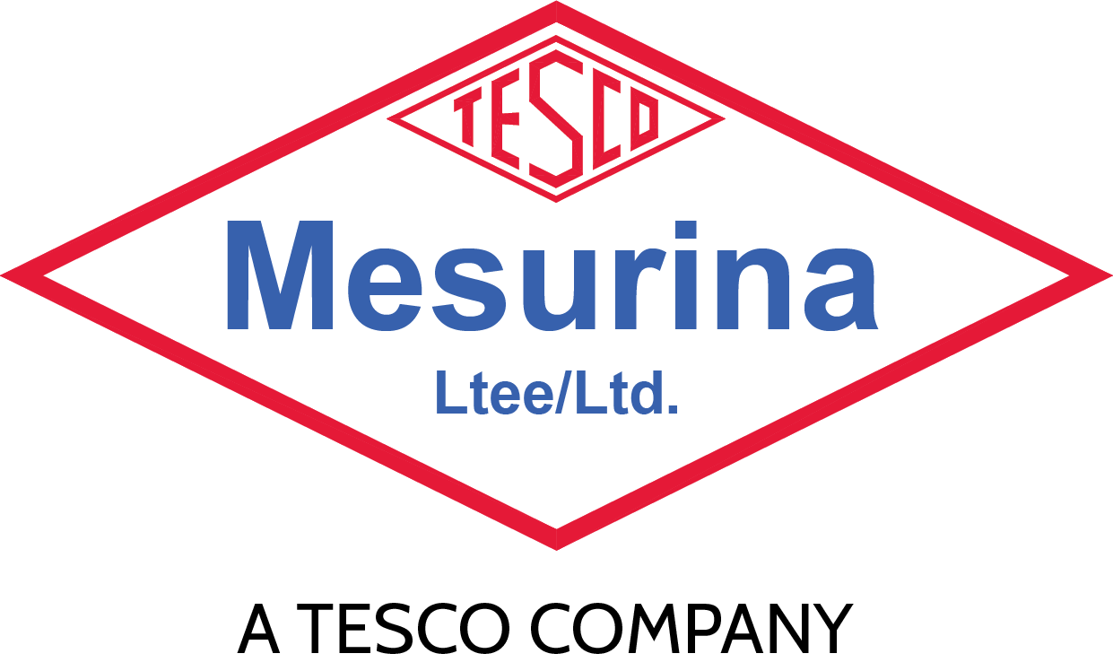 Mesurina Logo
