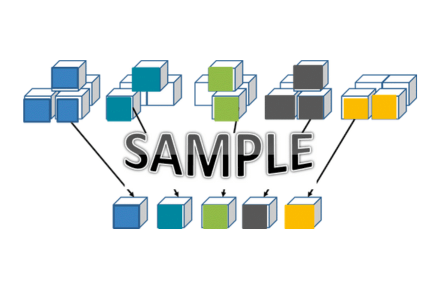 Random Sample/In-service Sampling