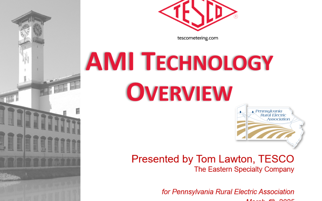 PREA-2025_AMI Overview_thumb