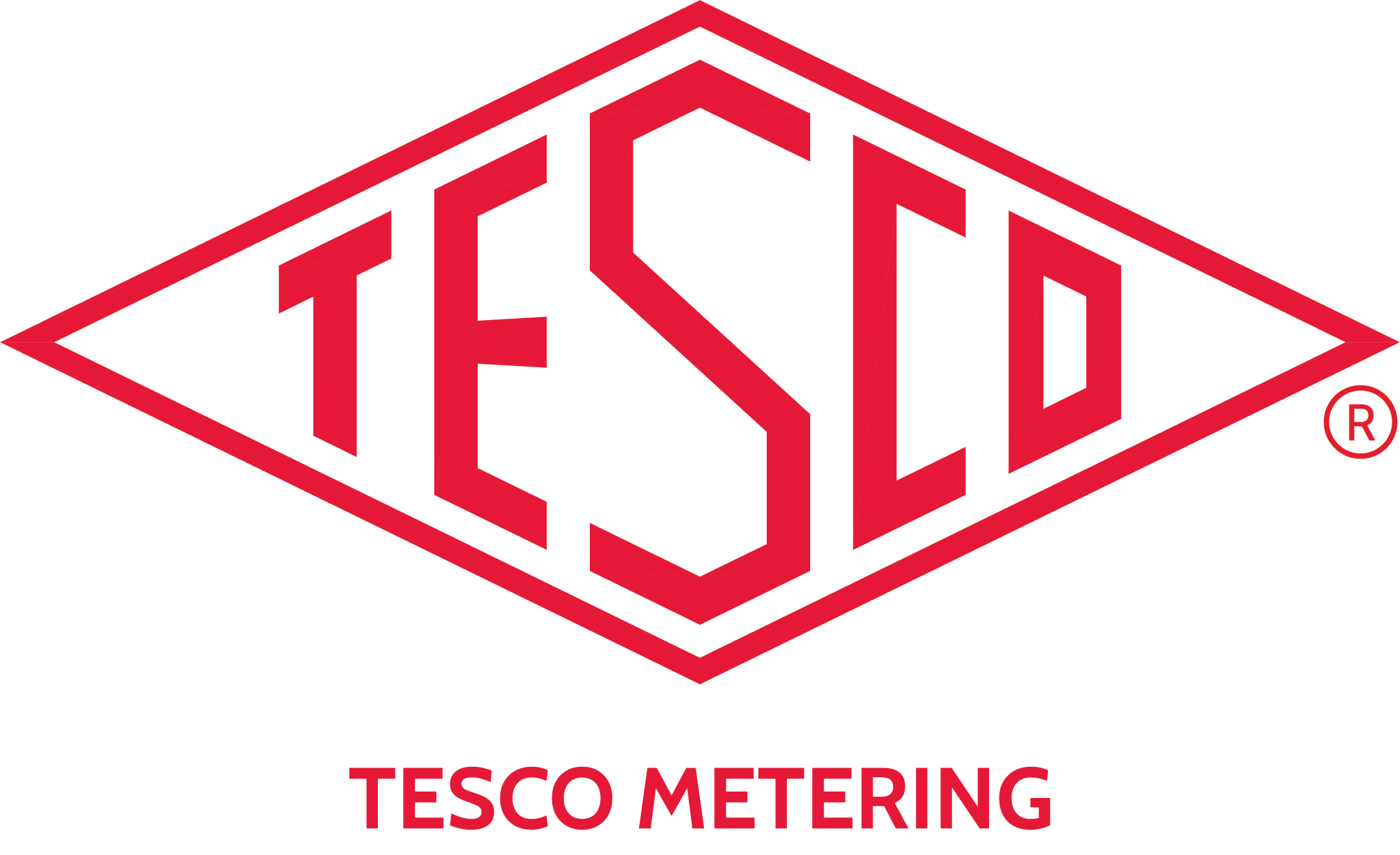TESCO Metering-logo