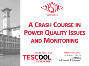A-Crash-Course-in-Power-Quality-Issues-and-Monitoring-Jeff-Moore-7-24-24-thumb
