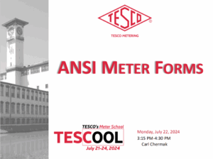 ANSI-Meter-Forms-Carl-Chermak-7-22-24-thumb