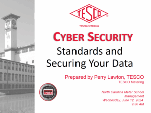 Cyber-Security-Standards-and-Securing-Your-Data-Perry-Lawton-Nortch-Carolina-Meter-School-thumb