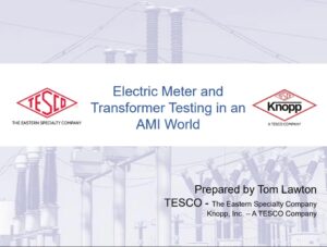 Electric-Meter-and-Transformer-Testing-in-an-AMI-World_Sensus-Abstract_2018-thumb