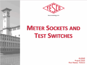 Meter-Sockets-and-Test-Switches-GLEMS-2025