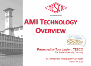 PREA-2025_AMI-Overview-thumb