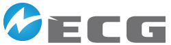 Electric Cities of Georgia
