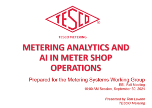 Metering Analytics and AI