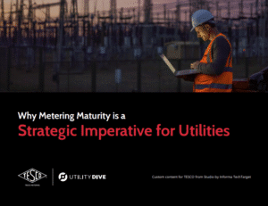 Strategic Imperative for Utilities